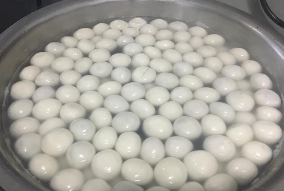 3377体育-全网最全最有态度的体育赛事直播平台