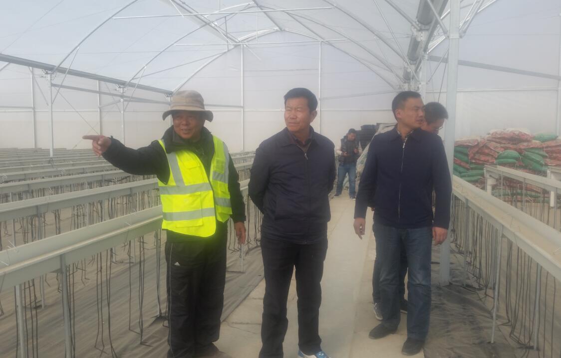 3377体育-全网最全最有态度的体育赛事直播平台
