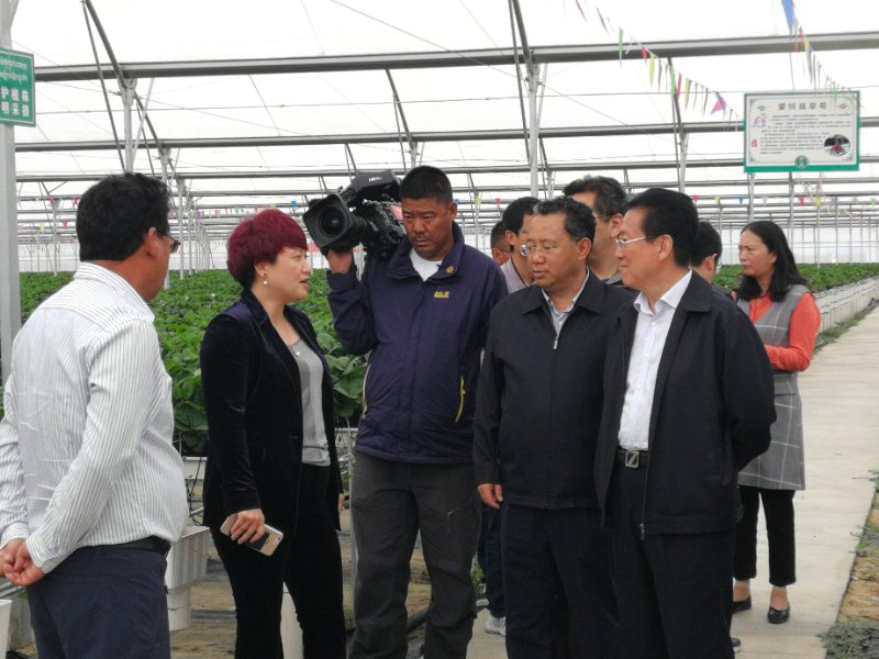 3377体育-全网最全最有态度的体育赛事直播平台
