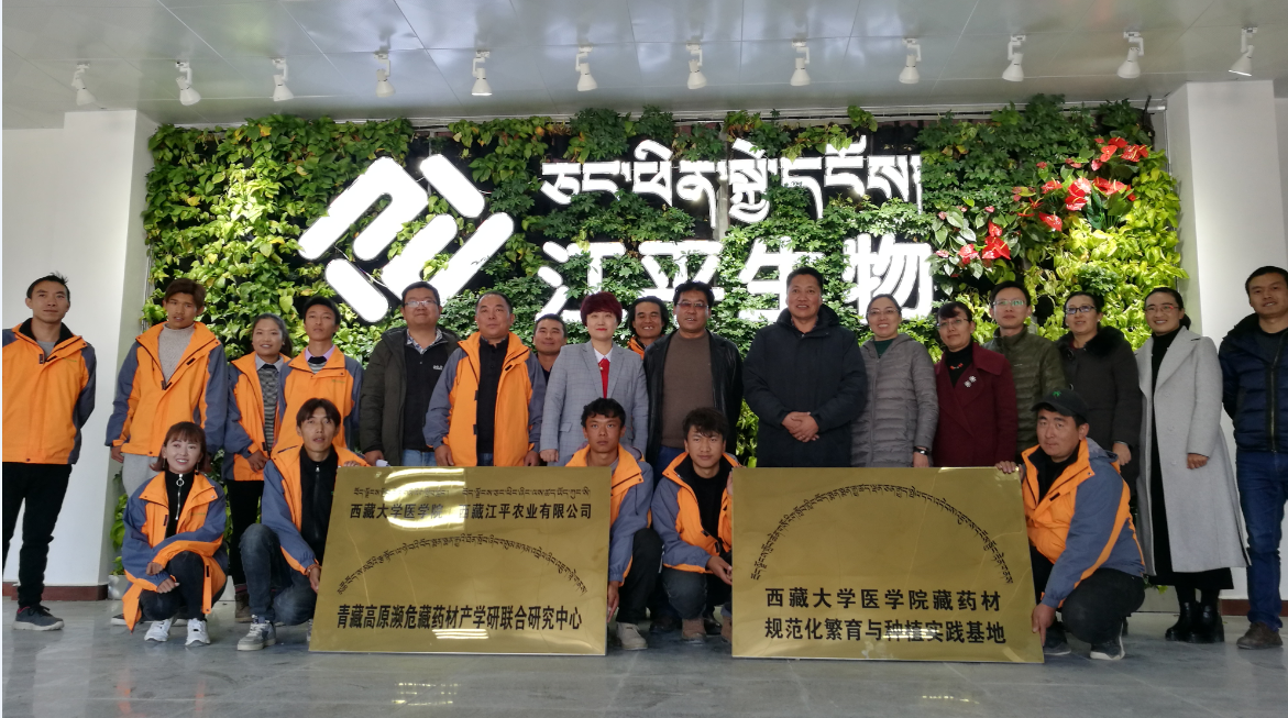 3377体育-全网最全最有态度的体育赛事直播平台