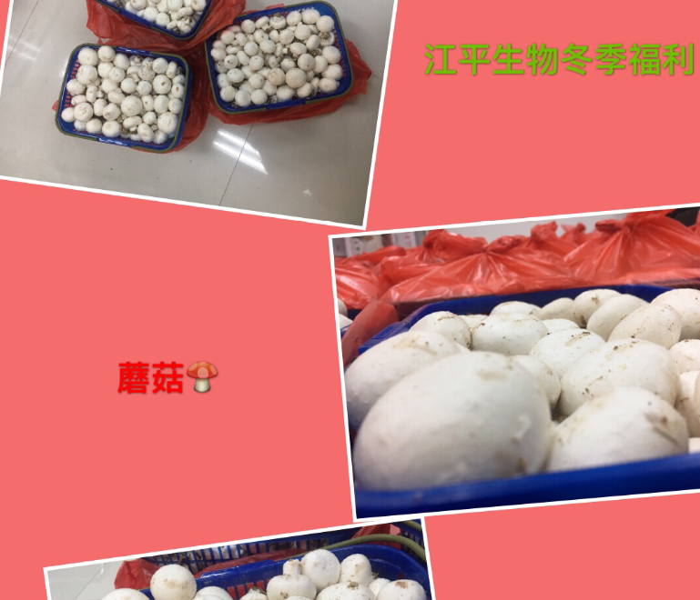 3377体育-全网最全最有态度的体育赛事直播平台