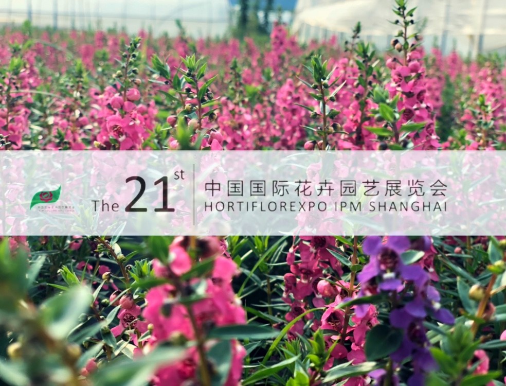 3377体育-全网最全最有态度的体育赛事直播平台