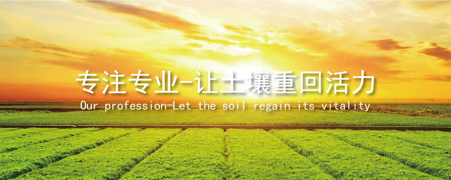 3377体育-全网最全最有态度的体育赛事直播平台