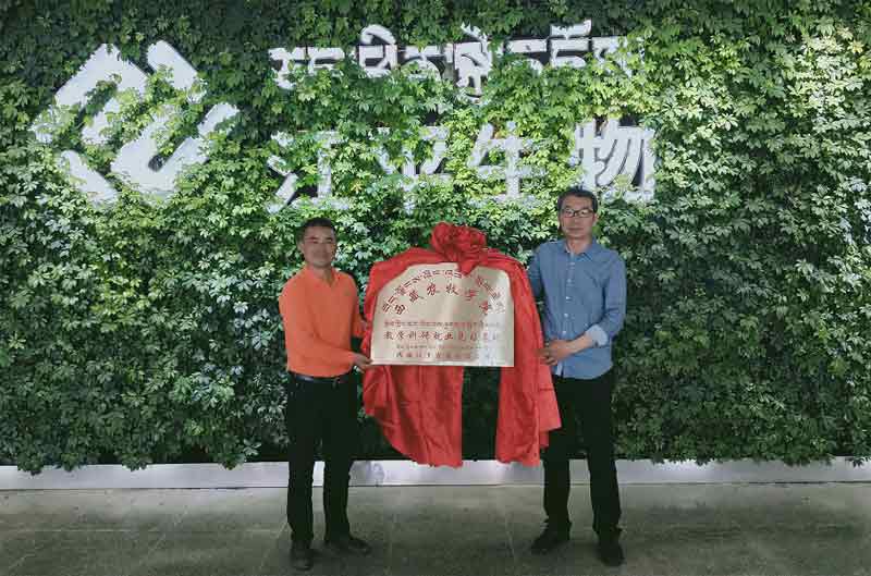 3377体育-全网最全最有态度的体育赛事直播平台
