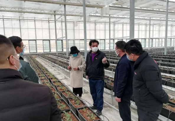 3377体育-全网最全最有态度的体育赛事直播平台