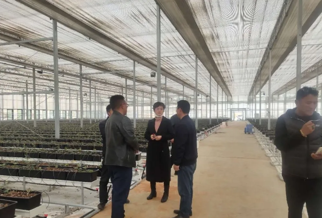 3377体育-全网最全最有态度的体育赛事直播平台