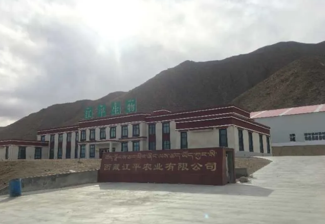 3377体育-全网最全最有态度的体育赛事直播平台
