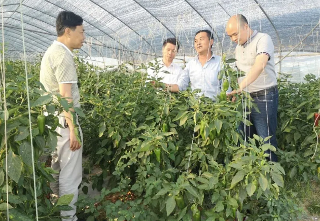 3377体育-全网最全最有态度的体育赛事直播平台
