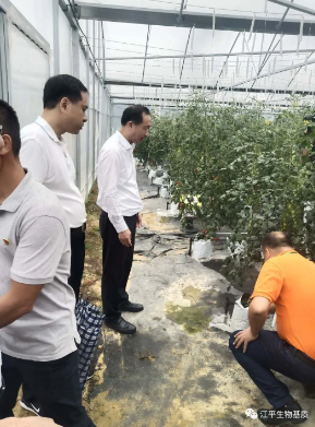 3377体育-全网最全最有态度的体育赛事直播平台