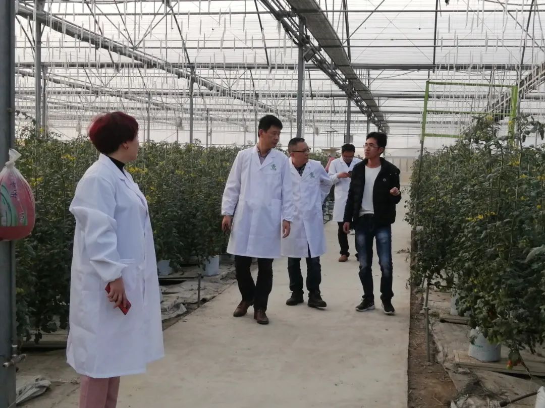 3377体育-全网最全最有态度的体育赛事直播平台