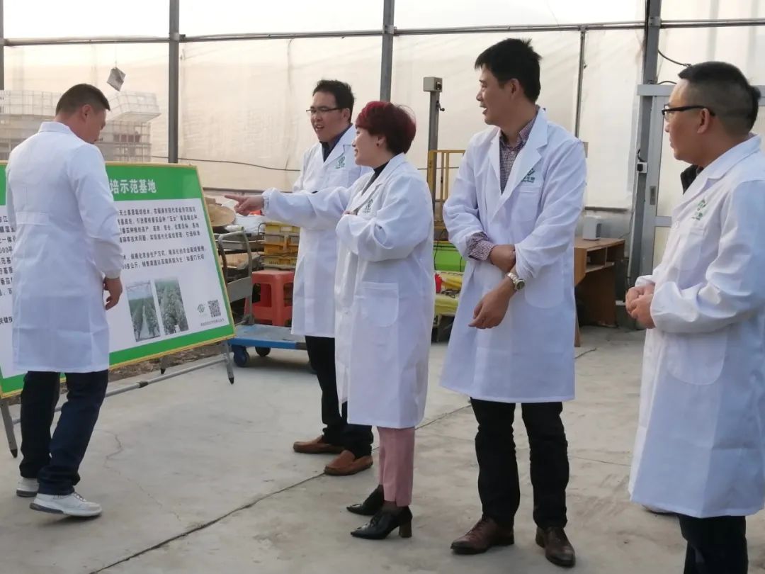 3377体育-全网最全最有态度的体育赛事直播平台