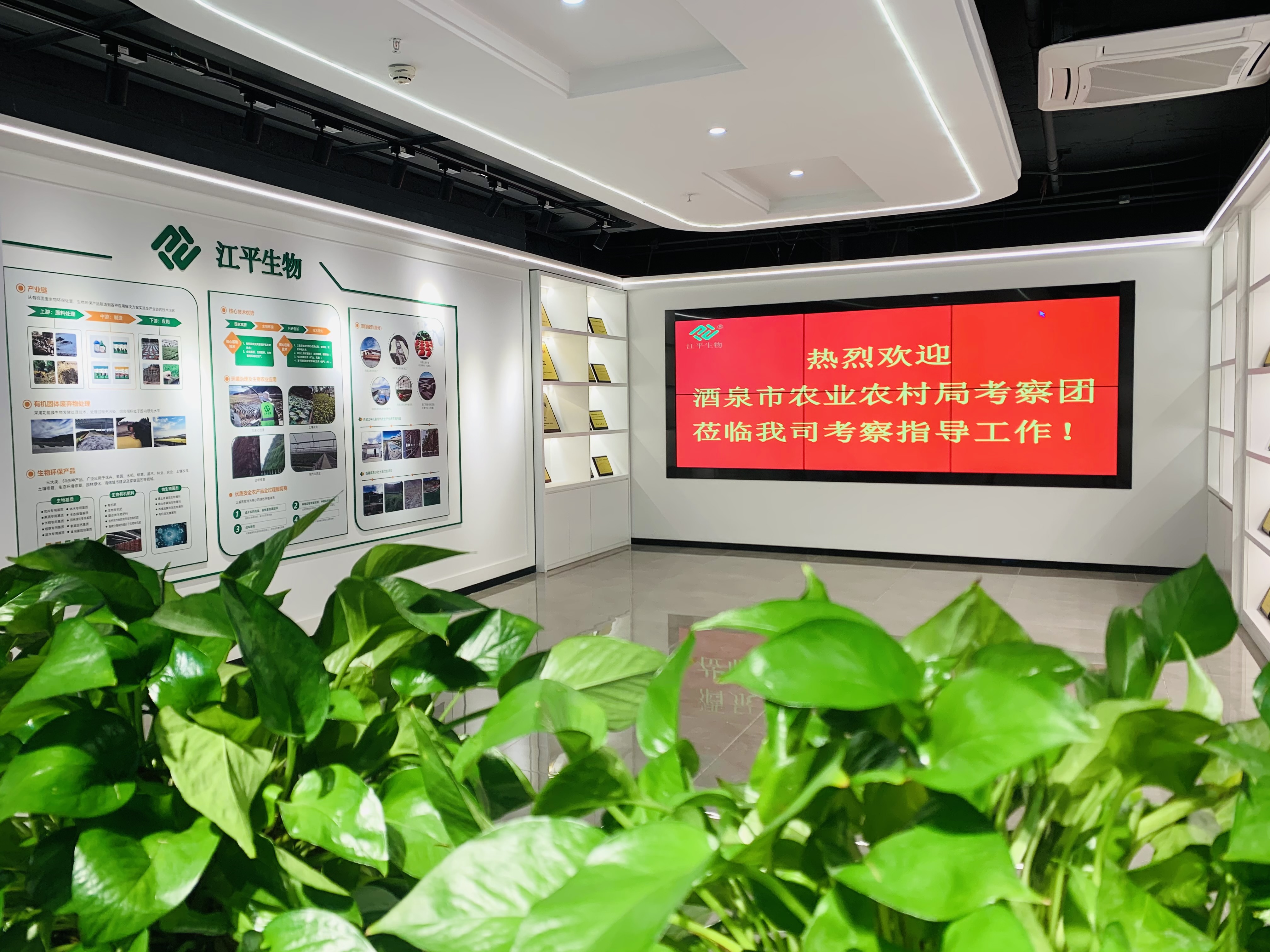 3377体育-全网最全最有态度的体育赛事直播平台