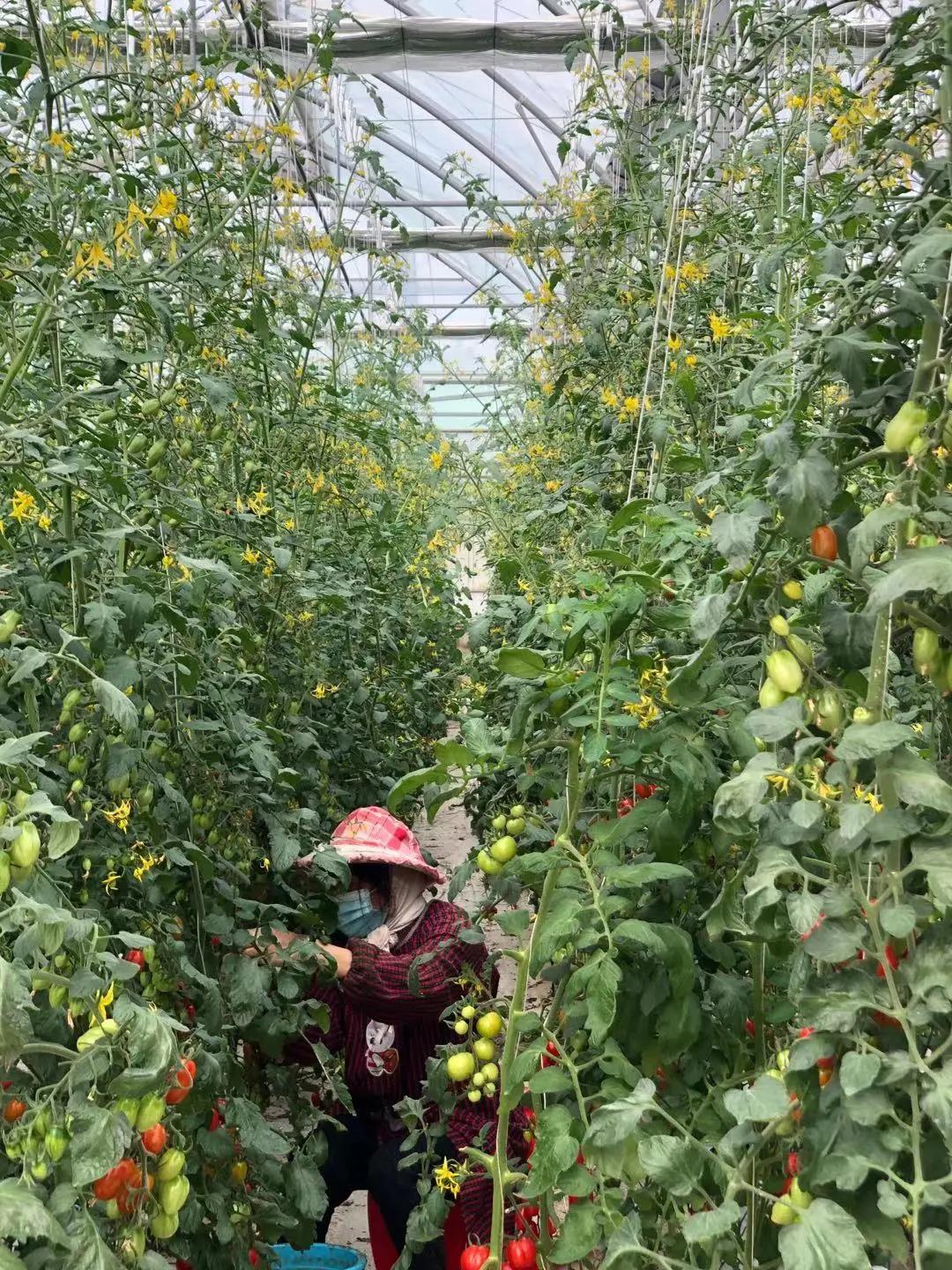 3377体育-全网最全最有态度的体育赛事直播平台
