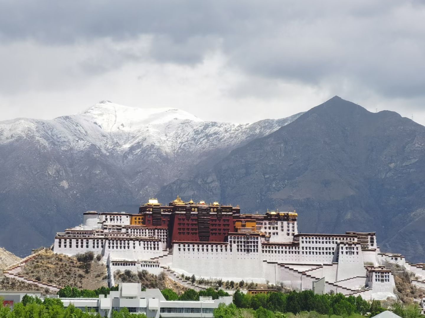 3377体育-全网最全最有态度的体育赛事直播平台
