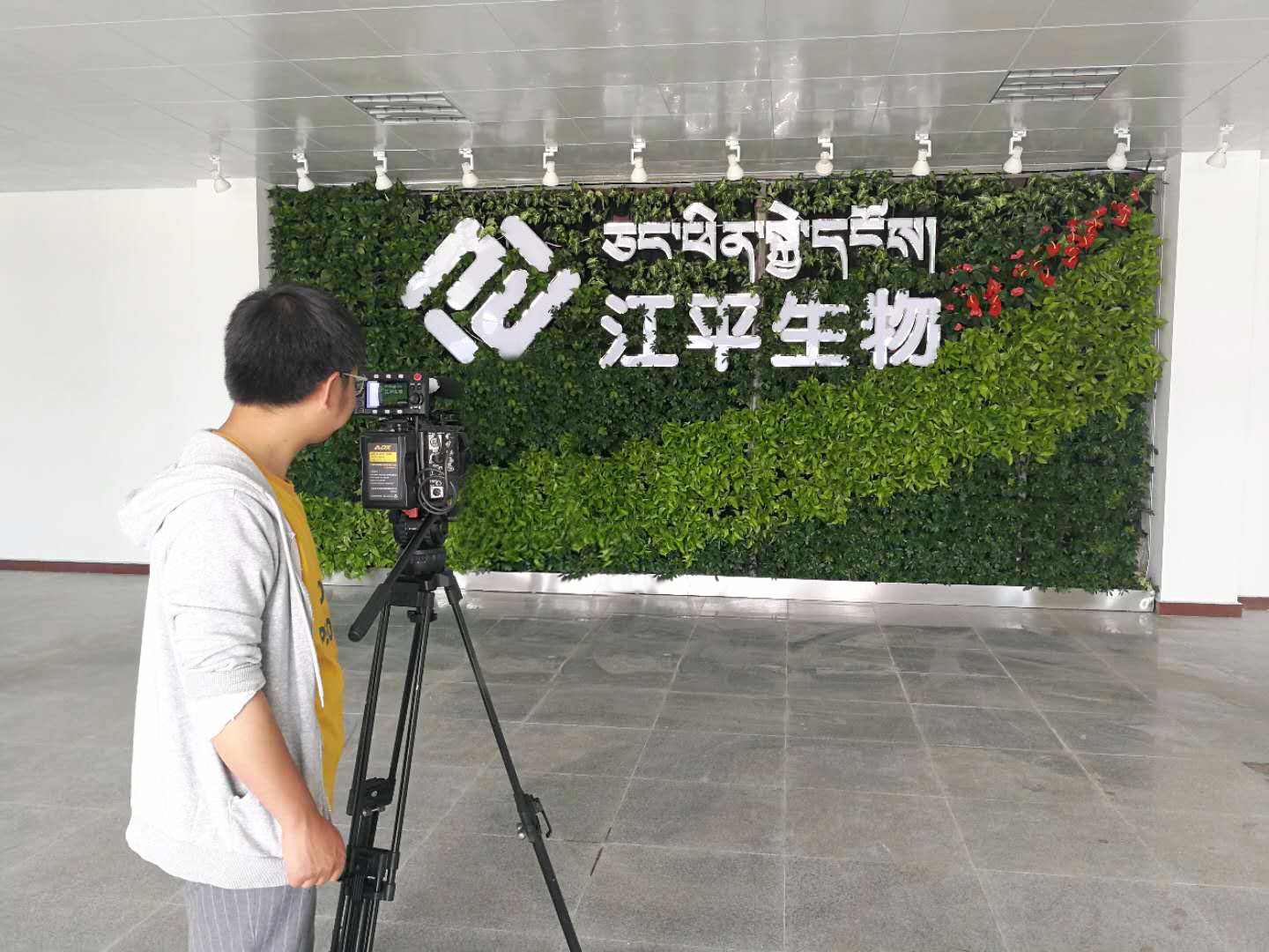 3377体育-全网最全最有态度的体育赛事直播平台