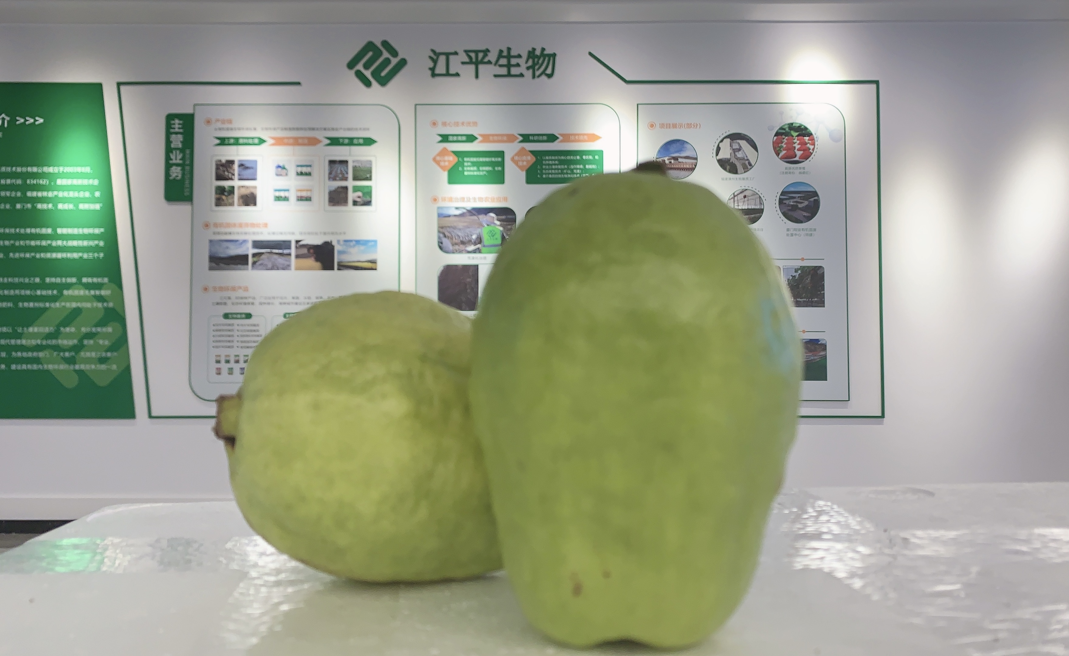 3377体育-全网最全最有态度的体育赛事直播平台