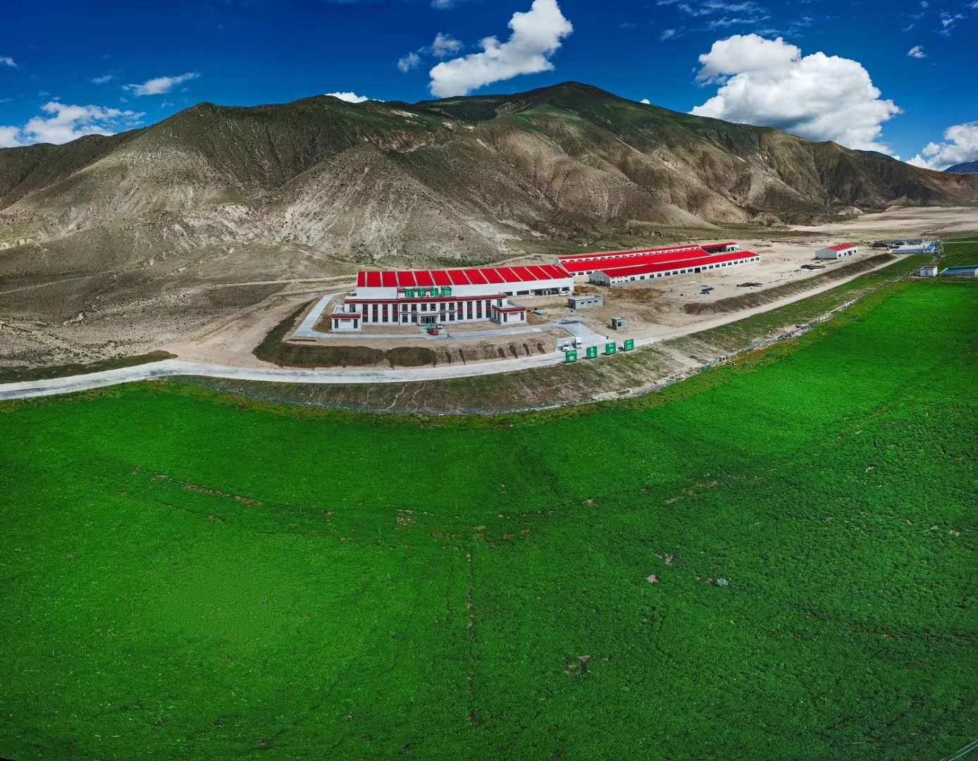 3377体育-全网最全最有态度的体育赛事直播平台