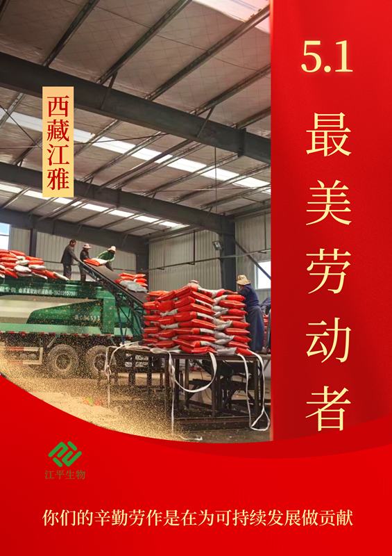 3377体育-全网最全最有态度的体育赛事直播平台