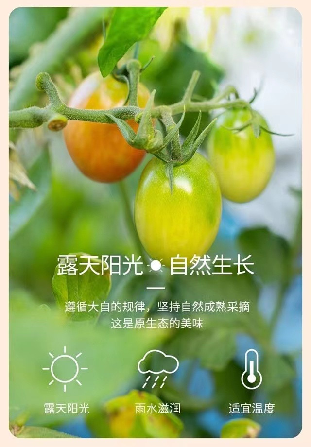 3377体育-全网最全最有态度的体育赛事直播平台