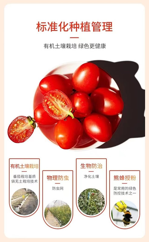 3377体育-全网最全最有态度的体育赛事直播平台