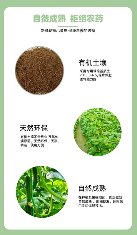 3377体育-全网最全最有态度的体育赛事直播平台