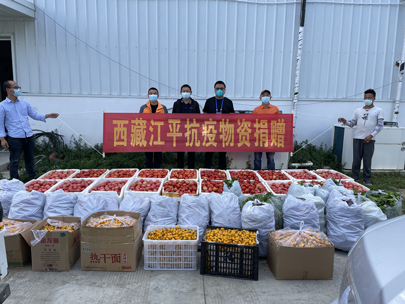 3377体育-全网最全最有态度的体育赛事直播平台