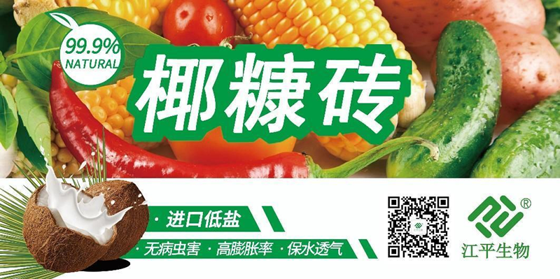 3377体育-全网最全最有态度的体育赛事直播平台