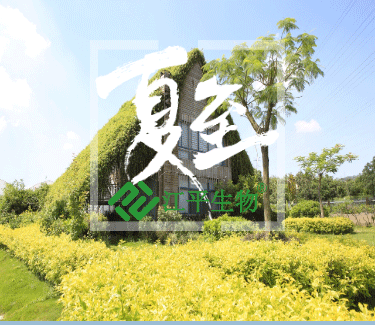 3377体育-全网最全最有态度的体育赛事直播平台